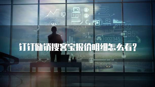 钉钉励销搜客宝报价明细怎么看?