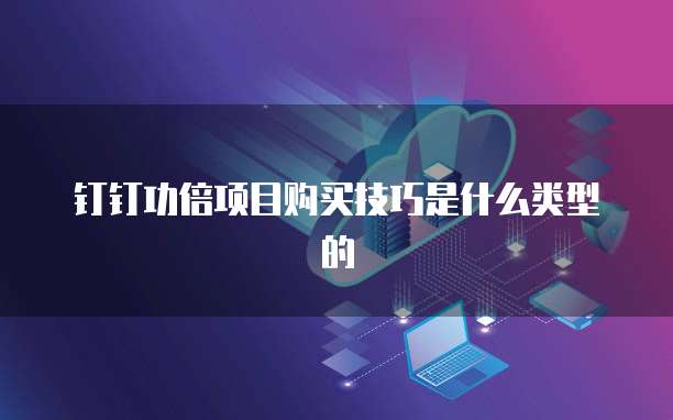 钉钉功倍项目购买技巧是什么类型的