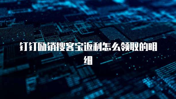 钉钉励销搜客宝返利怎么领取的明细