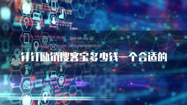 钉钉励销搜客宝多少钱一个合适的