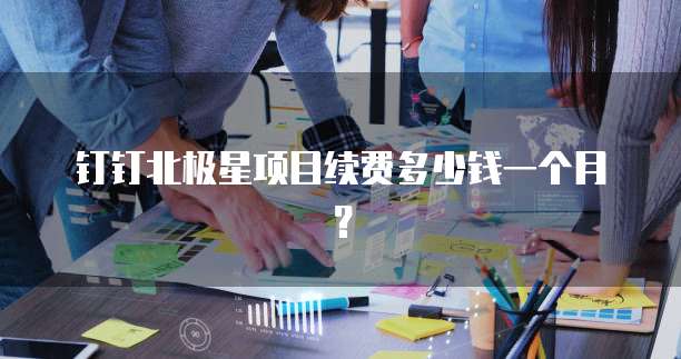 钉钉北极星项目续费多少钱一个月?