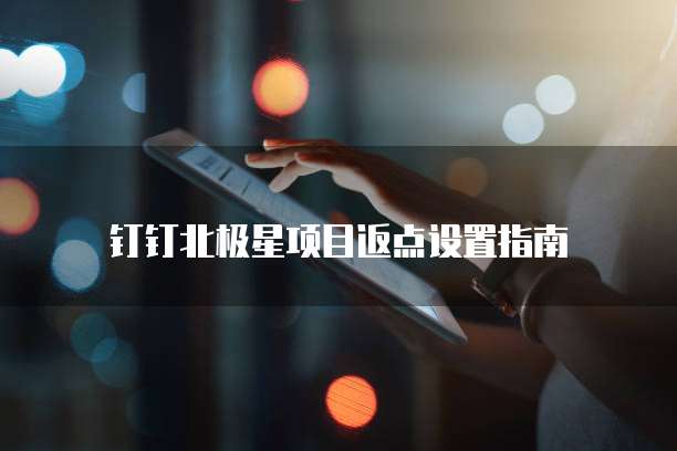 钉钉北极星项目返点设置指南