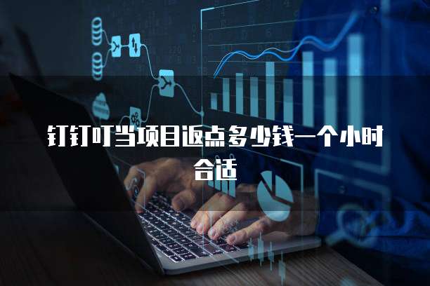 钉钉叮当项目返点多少钱一个小时合适