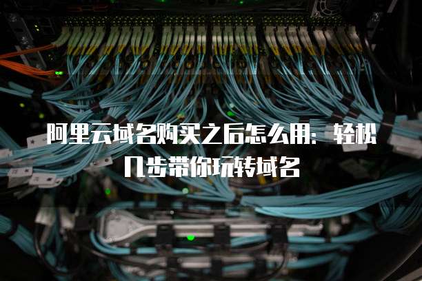 阿里云域名购买之后怎么用:轻松几步带你玩转域名