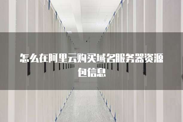 怎么在阿里云购买域名服务器资源包信息