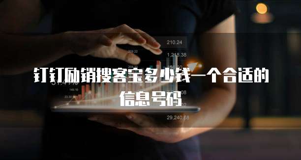 钉钉励销搜客宝多少钱一个合适的信息号码