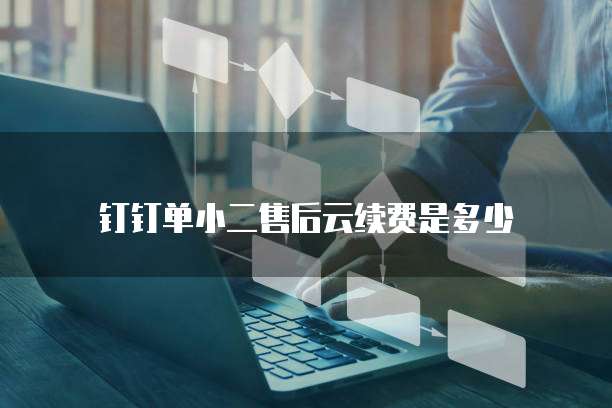 钉钉单小二售后云续费是多少