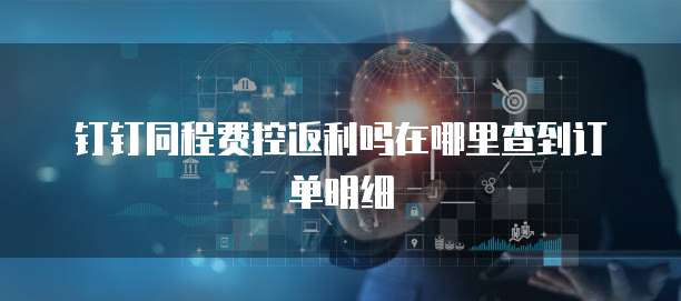 钉钉同程费控返利吗在哪里查到订单明细