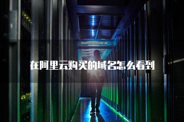 在阿里云购买的域名怎么看到