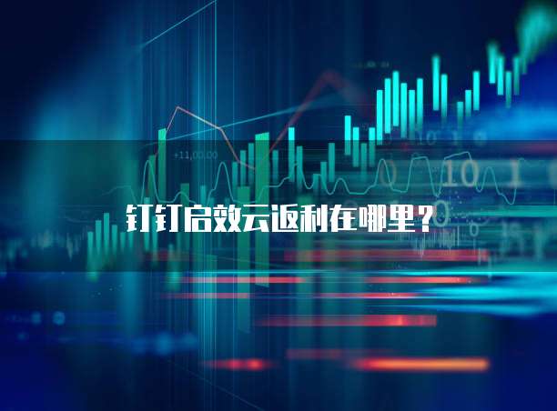 钉钉启效云返利在哪里?