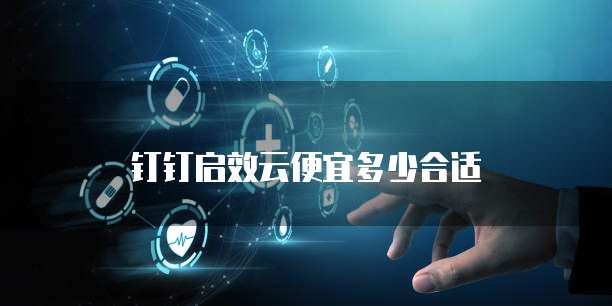 钉钉启效云便宜多少合适