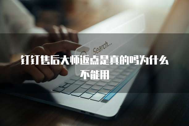 钉钉售后大师返点是真的吗为什么不能用