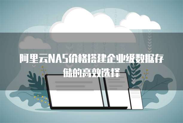 阿里云NAS价格搭建企业级数据存储的高效选择