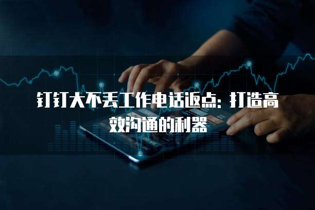 钉钉大不丢工作电话返点: 打造高效沟通的利器