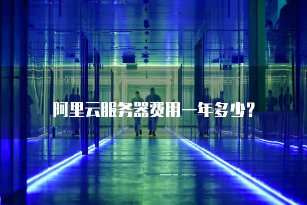 阿里云服务器费用一年多少?