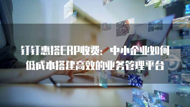 钉钉惠搭ERP收费:中小企业如何低成本搭建高效的业务管理平台