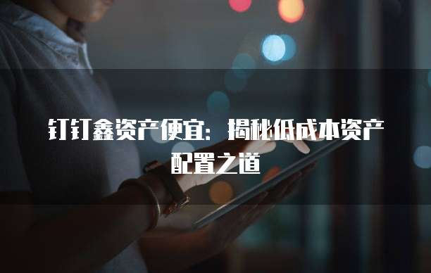 钉钉鑫资产便宜：揭秘低成本资产配置之道