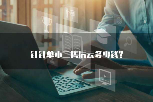 钉钉单小二售后云多少钱?
