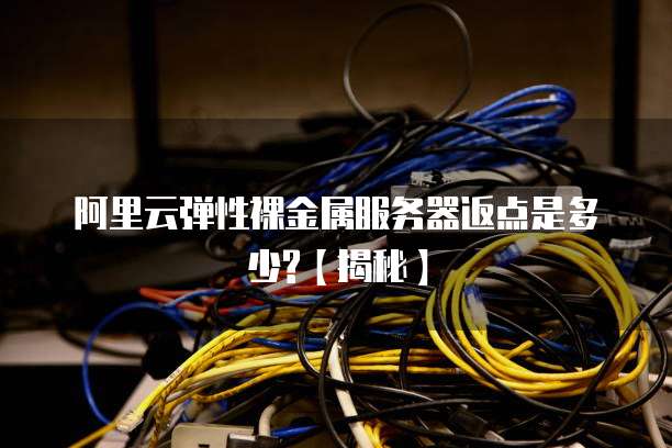 阿里云弹性裸金属服务器返点是多少?【揭秘】