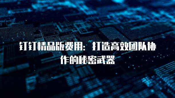 钉钉精品版费用:打造高效团队协作的秘密武器