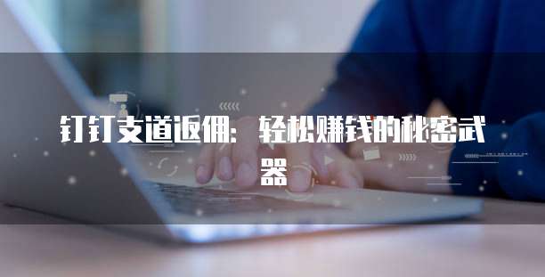 钉钉支道返佣:轻松赚钱的秘密武器