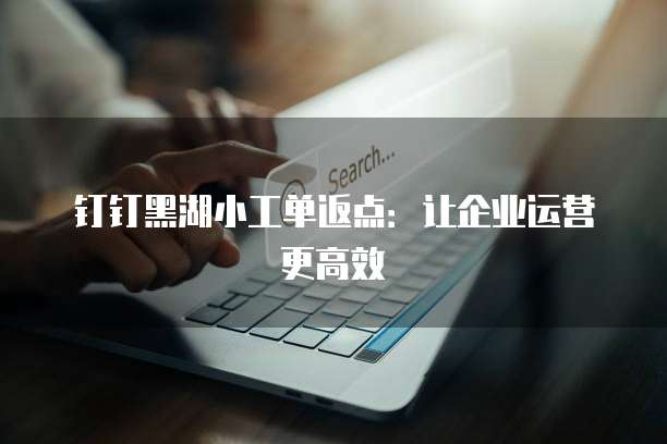 钉钉黑湖小工单返点:让企业运营更高效