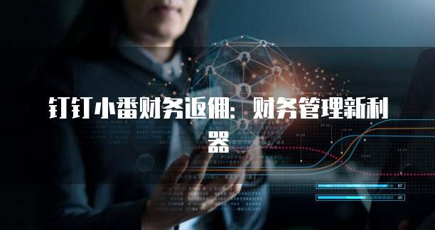 钉钉小番财务返佣：财务管理新利器