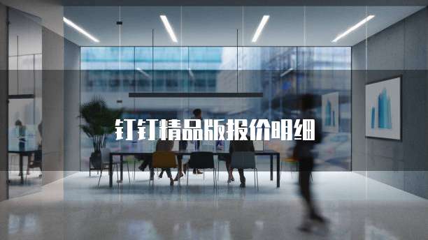 钉钉精品版报价明细