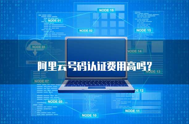 阿里云号码认证费用高吗?