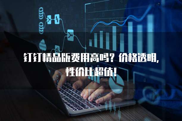 钉钉精品版费用高吗?价格透明,性价比超值!