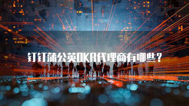 钉钉蒲公英OKR代理商有哪些？