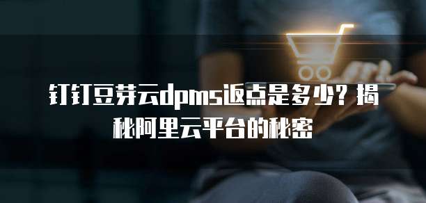 钉钉豆芽云dpms返点是多少?揭秘阿里云平台的秘密
