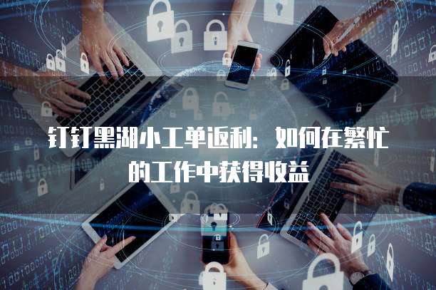 钉钉黑湖小工单返利：如何在繁忙的工作中获得收益