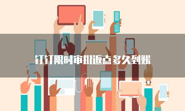 钉钉限时审批返点多久到账