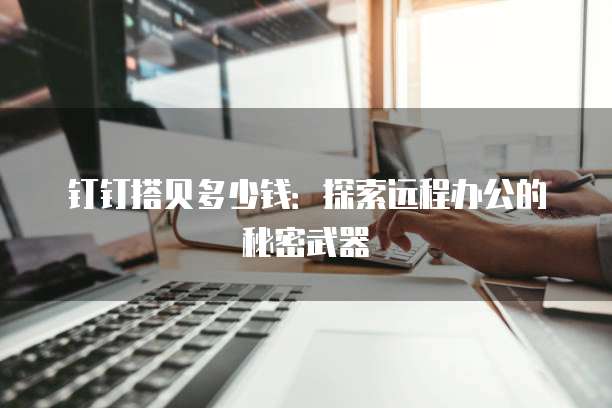 钉钉搭贝多少钱：探索远程办公的秘密武器