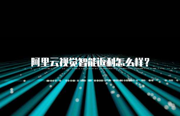 阿里云视觉智能返利怎么样?