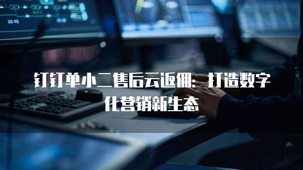 钉钉单小二售后云返佣:打造数字化营销新生态