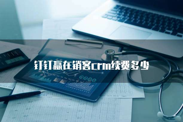 钉钉赢在销客crm续费多少