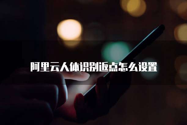 阿里云人体识别返点怎么设置