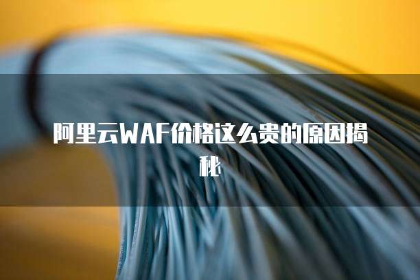 阿里云WAF价格这么贵的原因揭秘