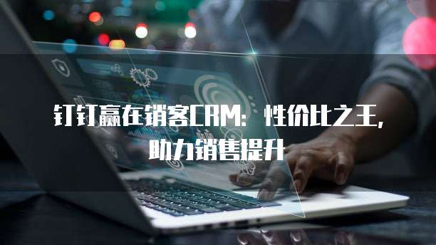 钉钉赢在销客CRM：性价比之王，助力销售提升
