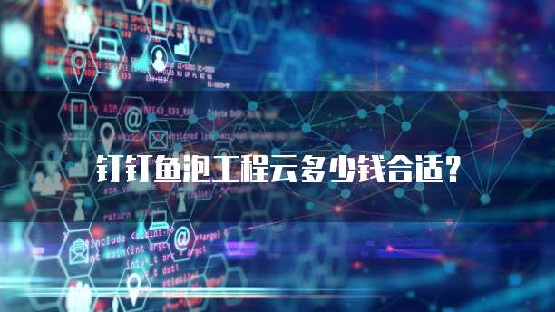 钉钉鱼泡工程云多少钱合适？