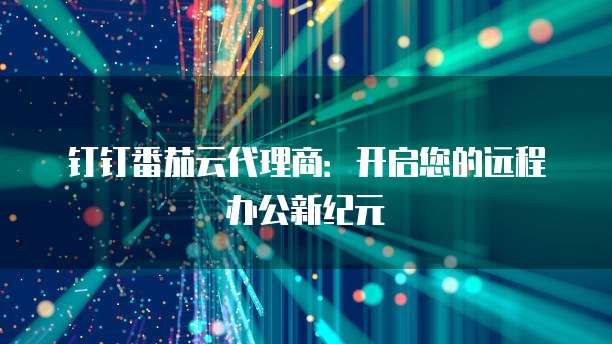 钉钉番茄云代理商:开启您的远程办公新纪元
