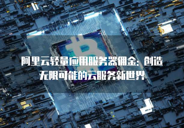 阿里云轻量应用服务器佣金: 创造无限可能的云服务新世界