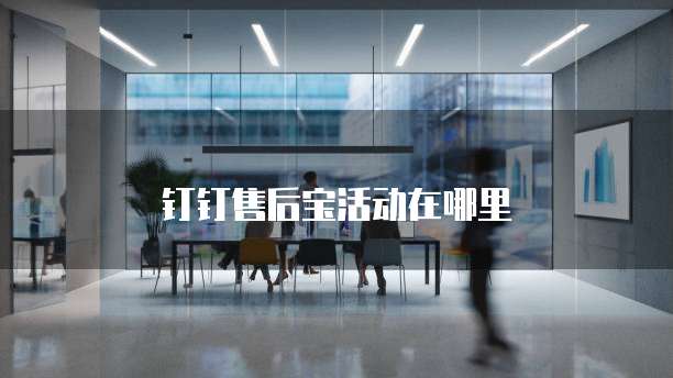 钉钉售后宝活动在哪里