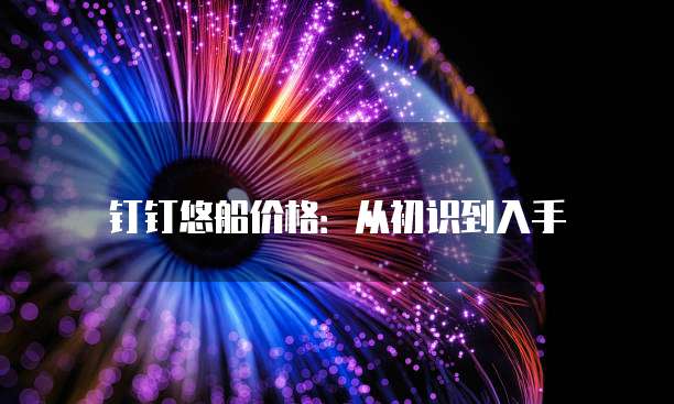 钉钉悠船价格:从初识到入手