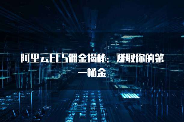 阿里云ECS佣金揭秘:赚取你的第一桶金