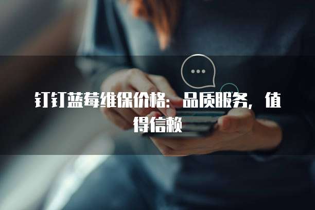 钉钉蓝莓维保价格:品质服务,值得信赖