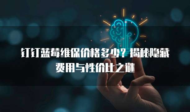 钉钉蓝莓维保价格多少?揭秘隐藏费用与性价比之谜