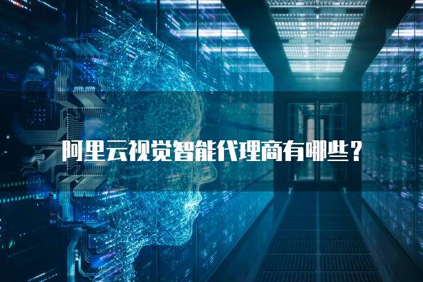 阿里云视觉智能代理商有哪些？